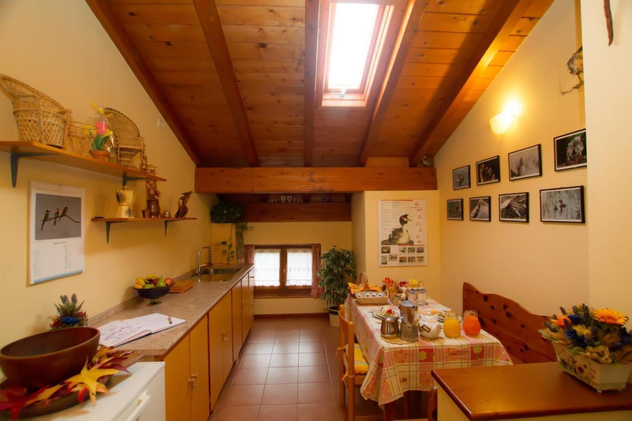 Guest House Il Nido Dello Svasso -Foresteria Lombarda- Sorico Ngoại thất bức ảnh